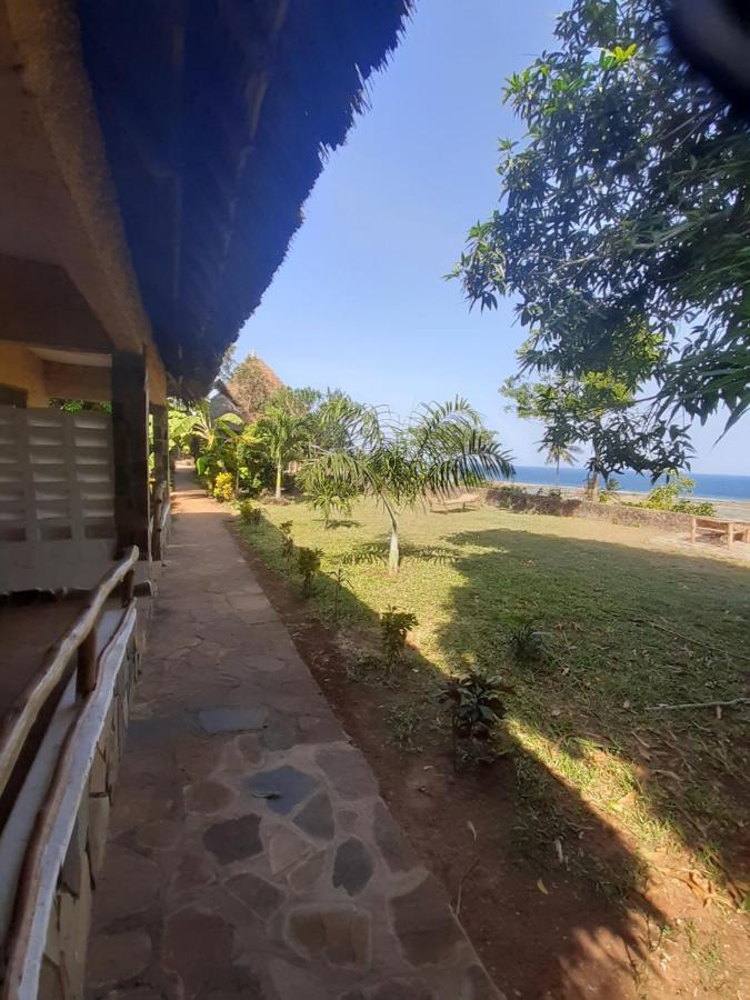 Mango Lodge Msambweni Kisimachande Zewnętrze zdjęcie