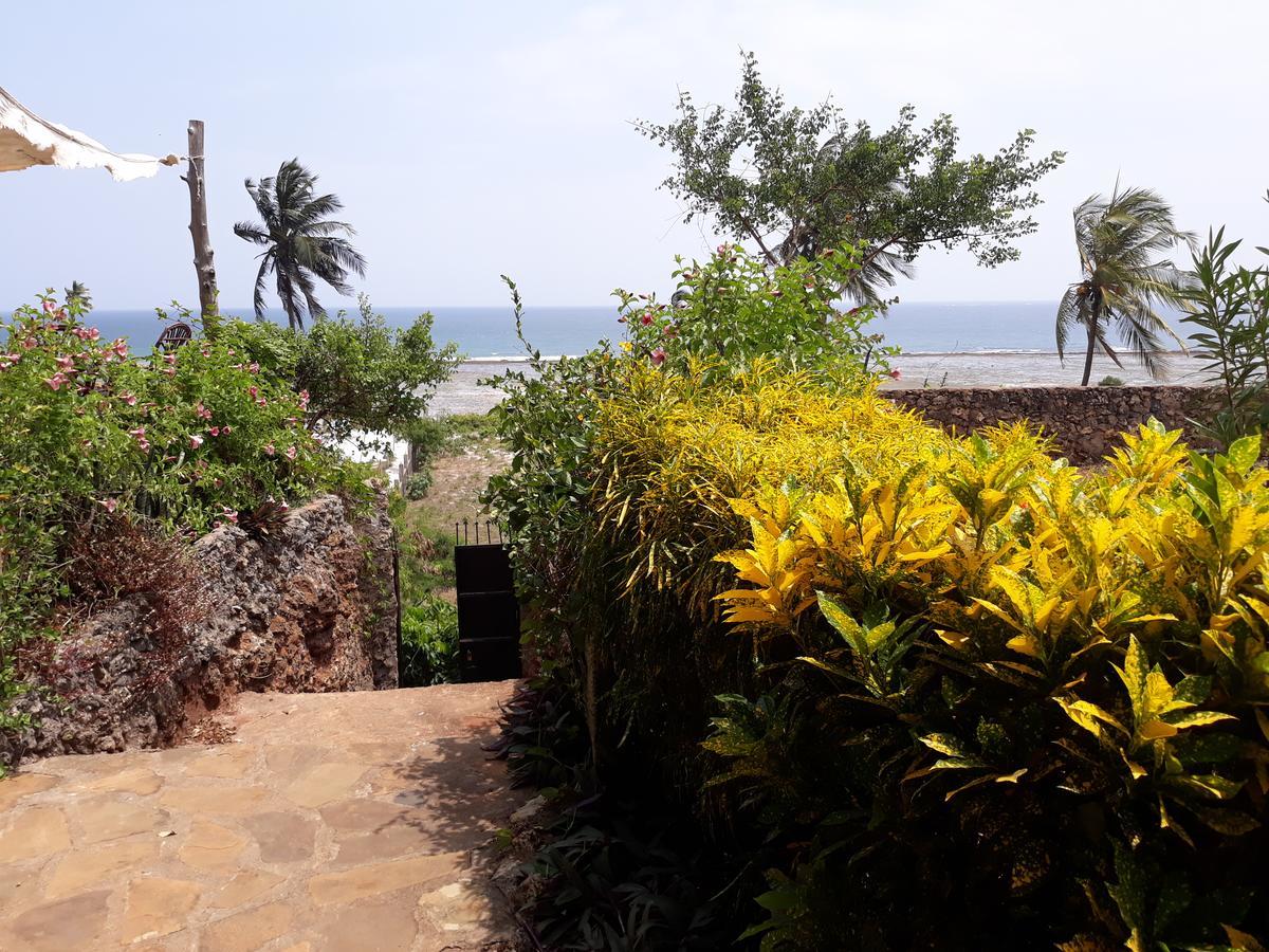 Mango Lodge Msambweni Kisimachande Pokój zdjęcie