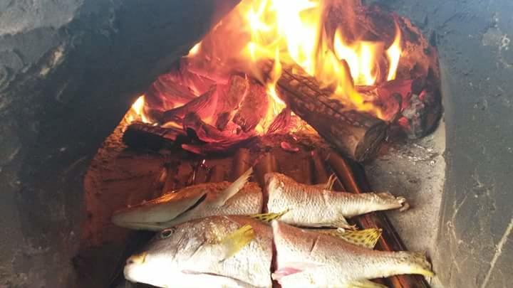 Mango Lodge Msambweni Kisimachande Zewnętrze zdjęcie