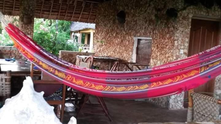 Mango Lodge Msambweni Kisimachande Zewnętrze zdjęcie
